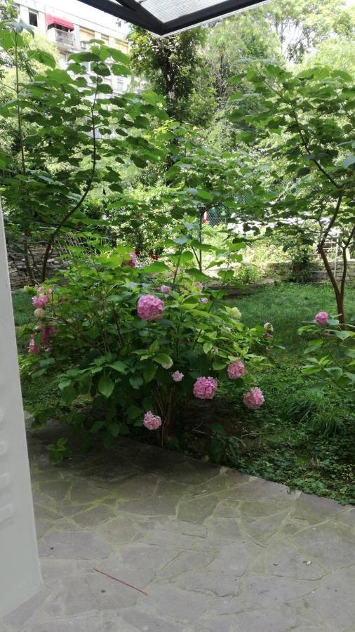 Vracar Krunska Jamiva Apartment Belgrade Luaran gambar